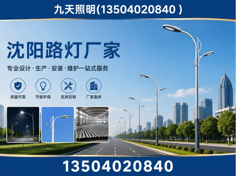 大东区沈阳路灯厂家展示图