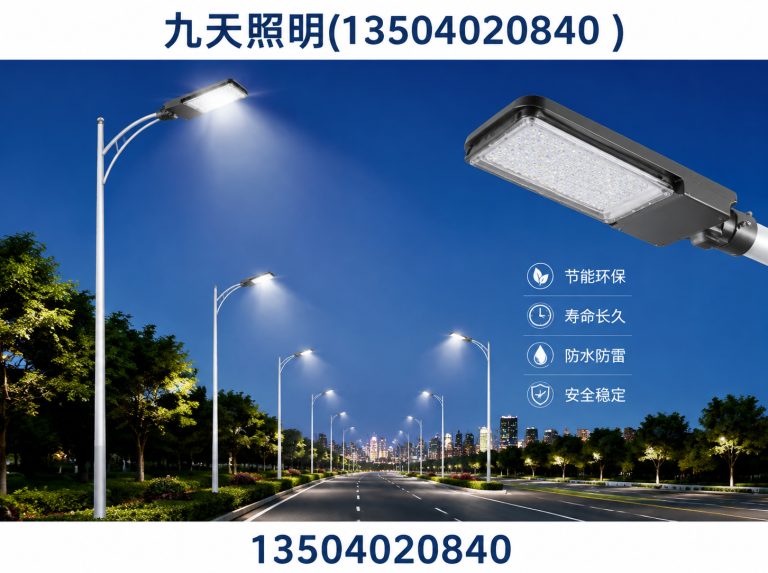 大东区LED路灯展示图